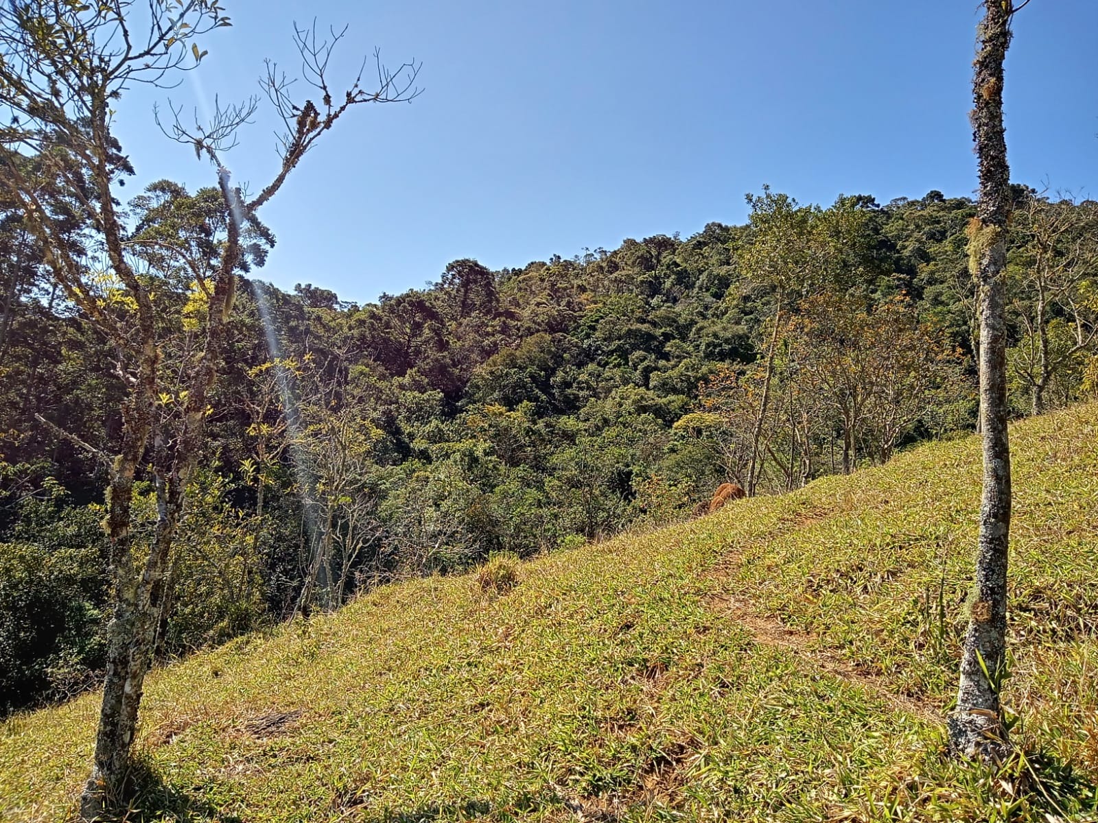 Terreno de 29 ha em São José dos Campos, SP