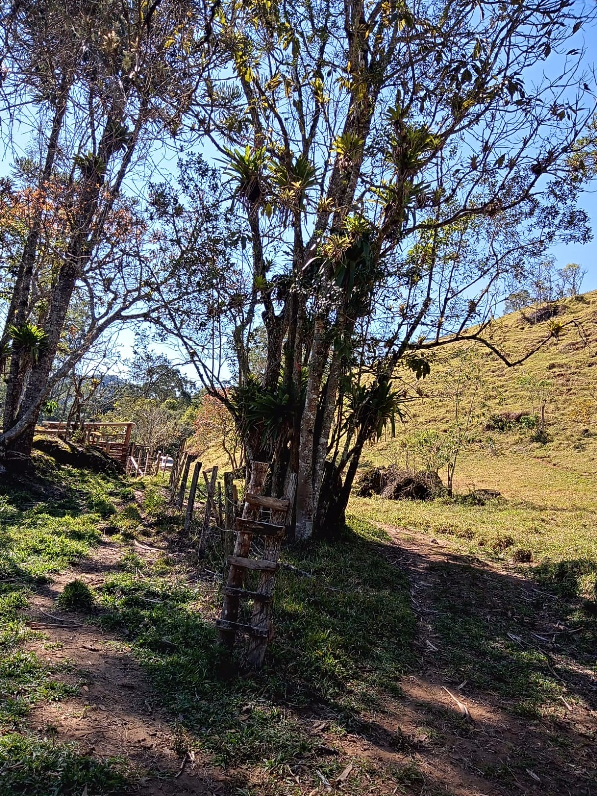 Terreno de 29 ha em São José dos Campos, SP