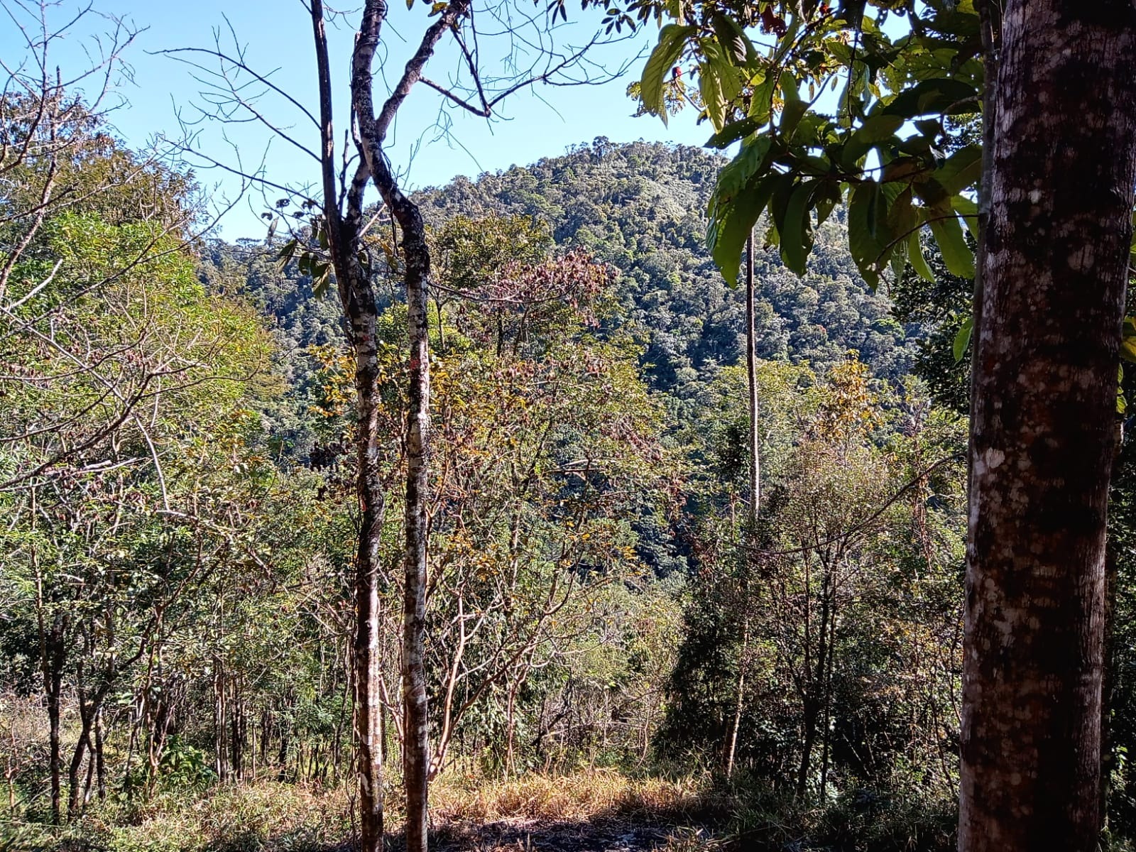 Terreno de 29 ha em São José dos Campos, SP