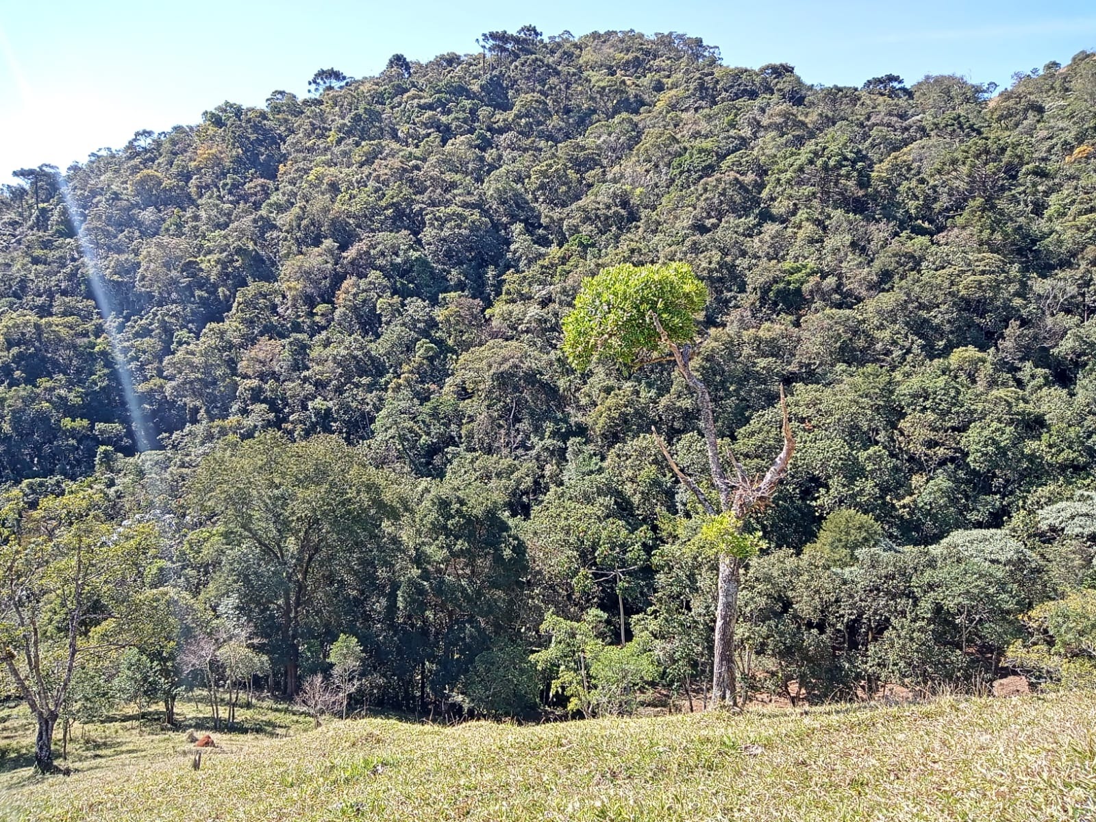 Terreno de 29 ha em São José dos Campos, SP