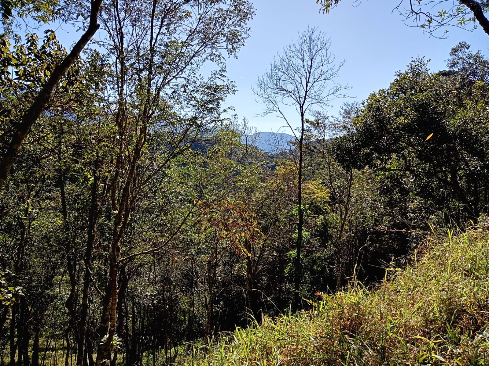 Terreno de 29 ha em São José dos Campos, SP