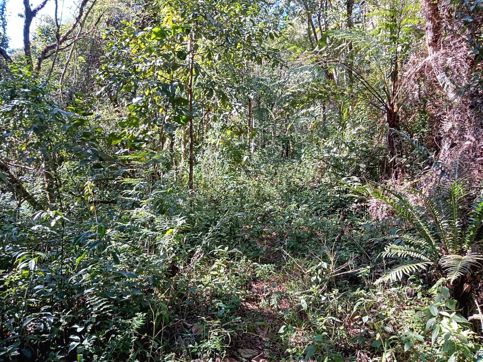 Terreno de 29 ha em São José dos Campos, SP