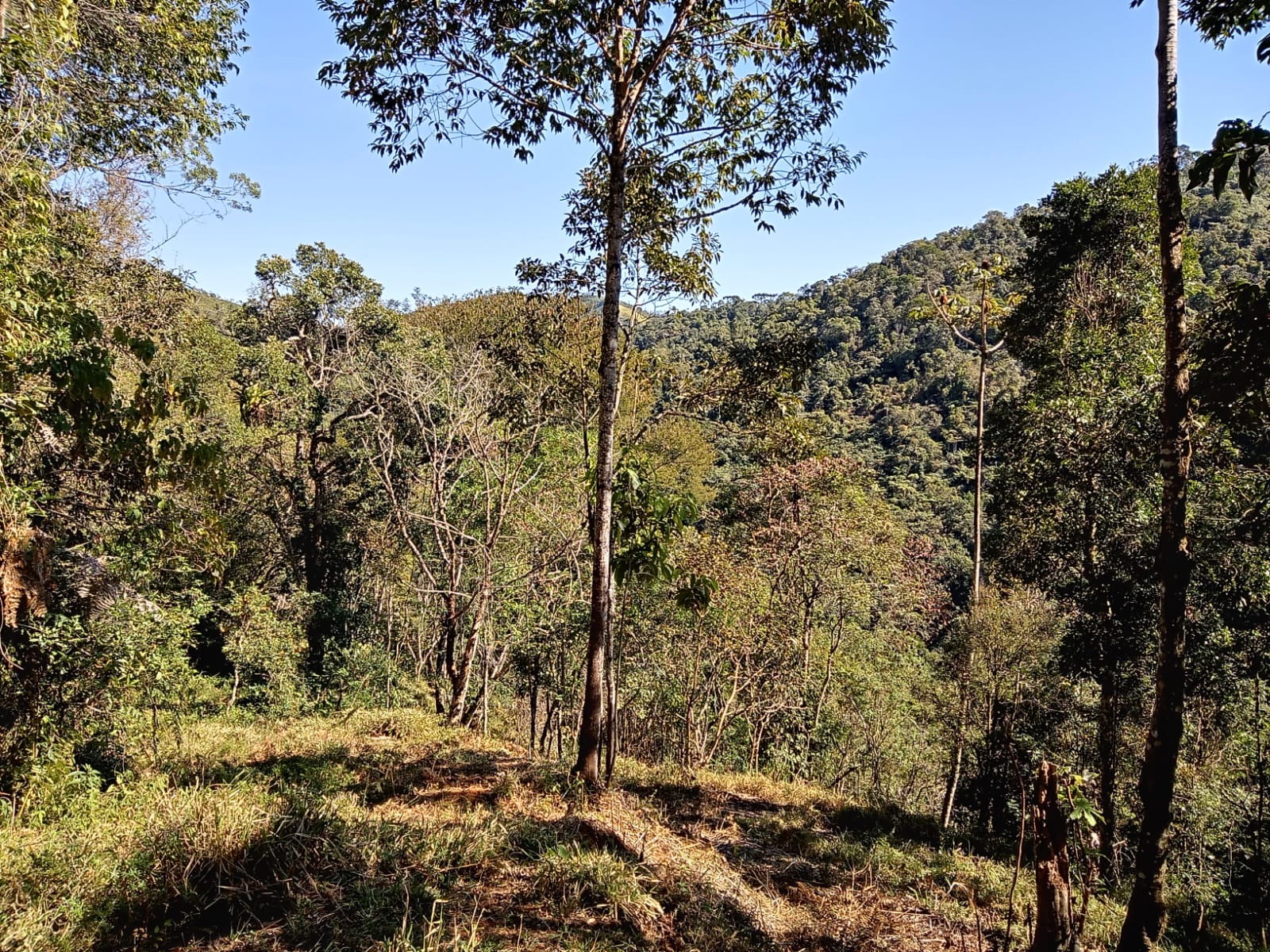 Terreno de 29 ha em São José dos Campos, SP