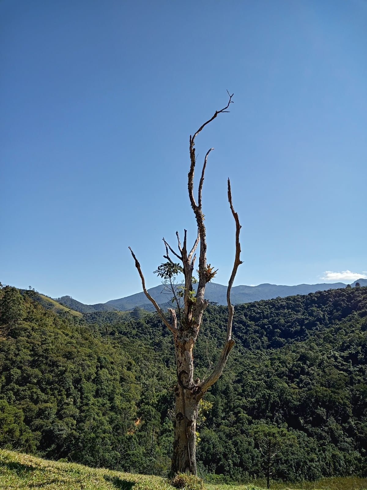 Terreno de 29 ha em São José dos Campos, SP