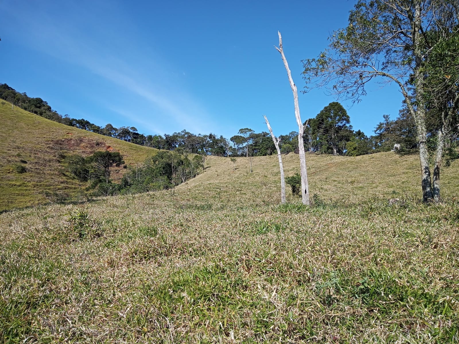 Terreno de 29 ha em São José dos Campos, SP