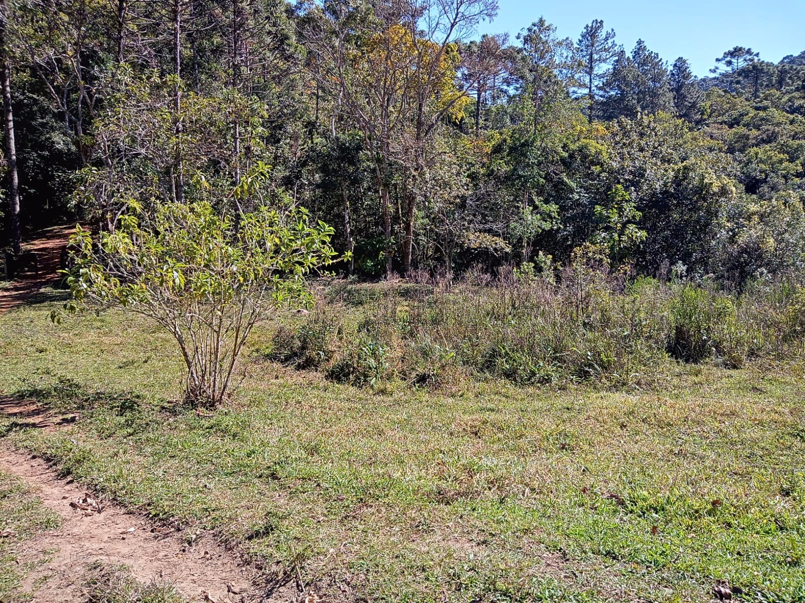 Terreno de 29 ha em São José dos Campos, SP