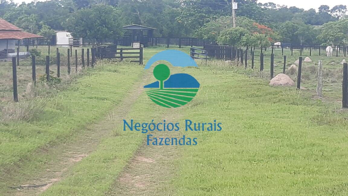 Fazenda de 484 ha em Crixás, GO