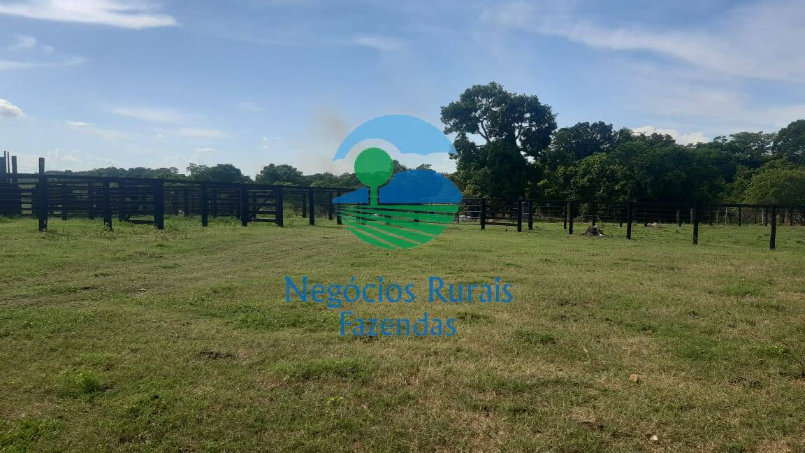 Fazenda de 484 ha em Crixás, GO