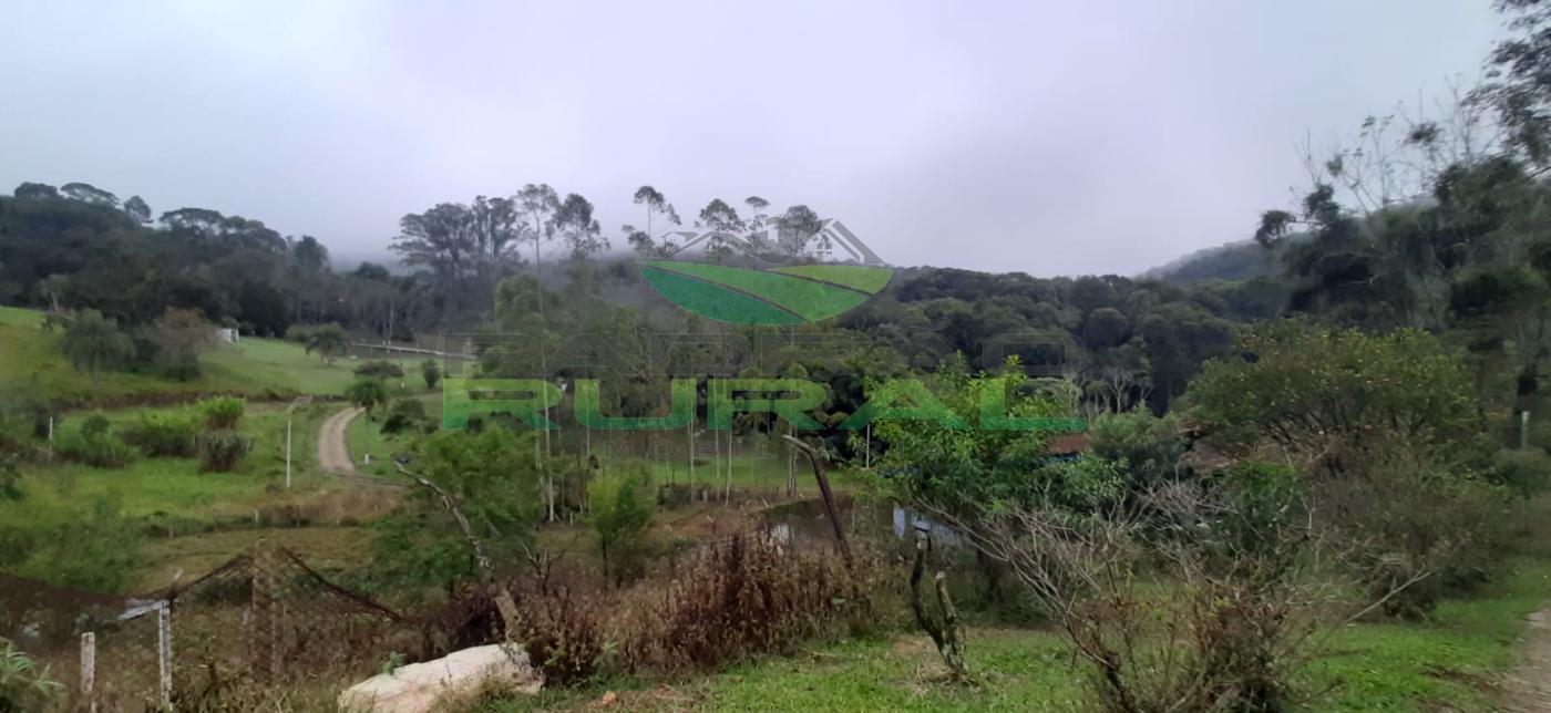 Sítio de 4 ha em São Roque, SP