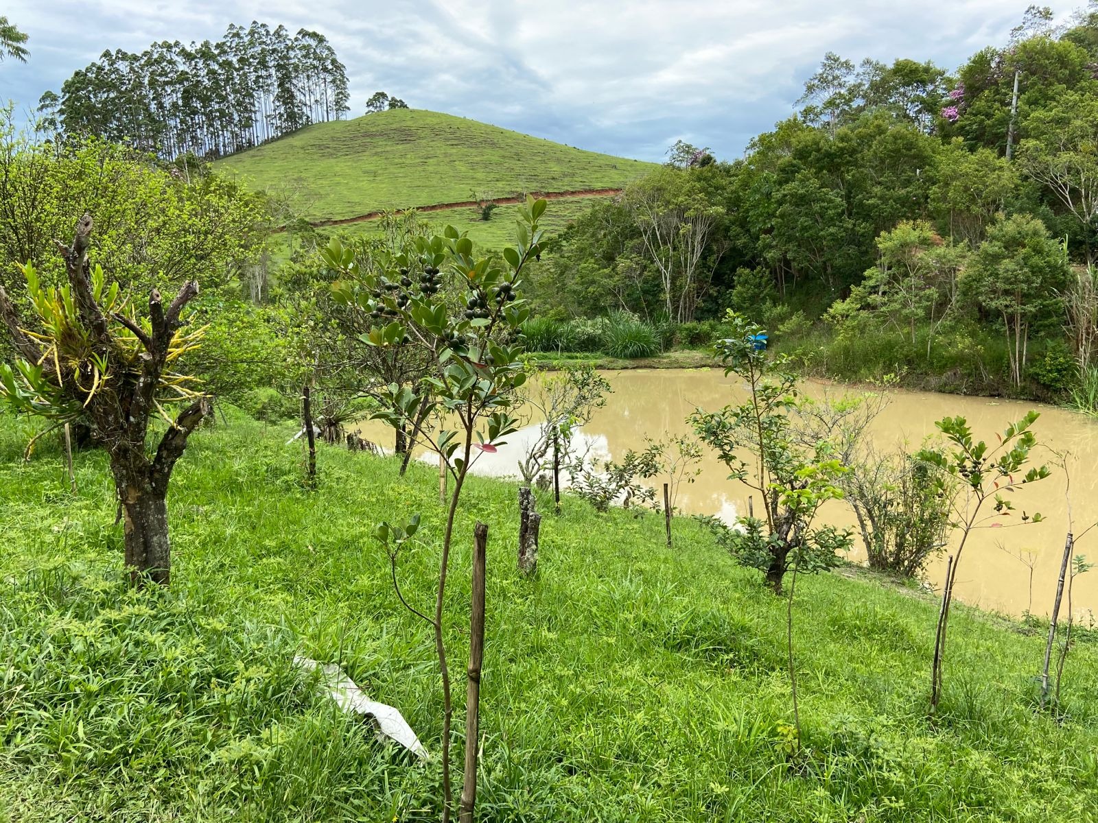 Sítio de 39 ha em São Luiz do Paraitinga, SP