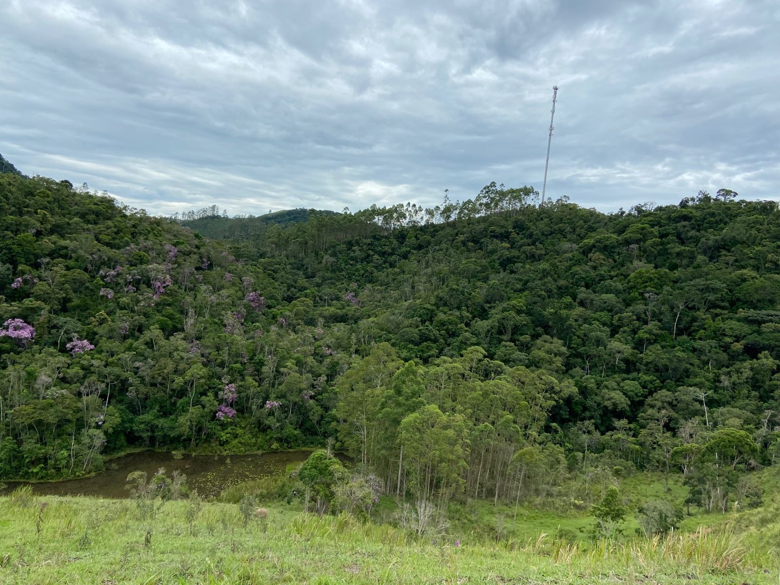 Sítio de 39 ha em São Luiz do Paraitinga, SP