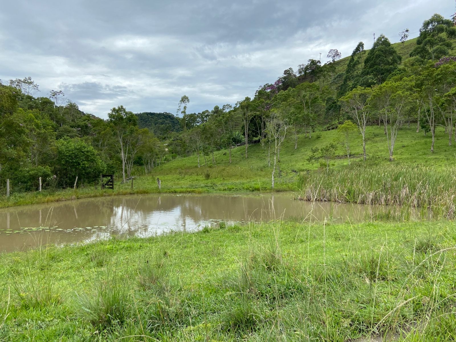 Sítio de 39 ha em São Luiz do Paraitinga, SP