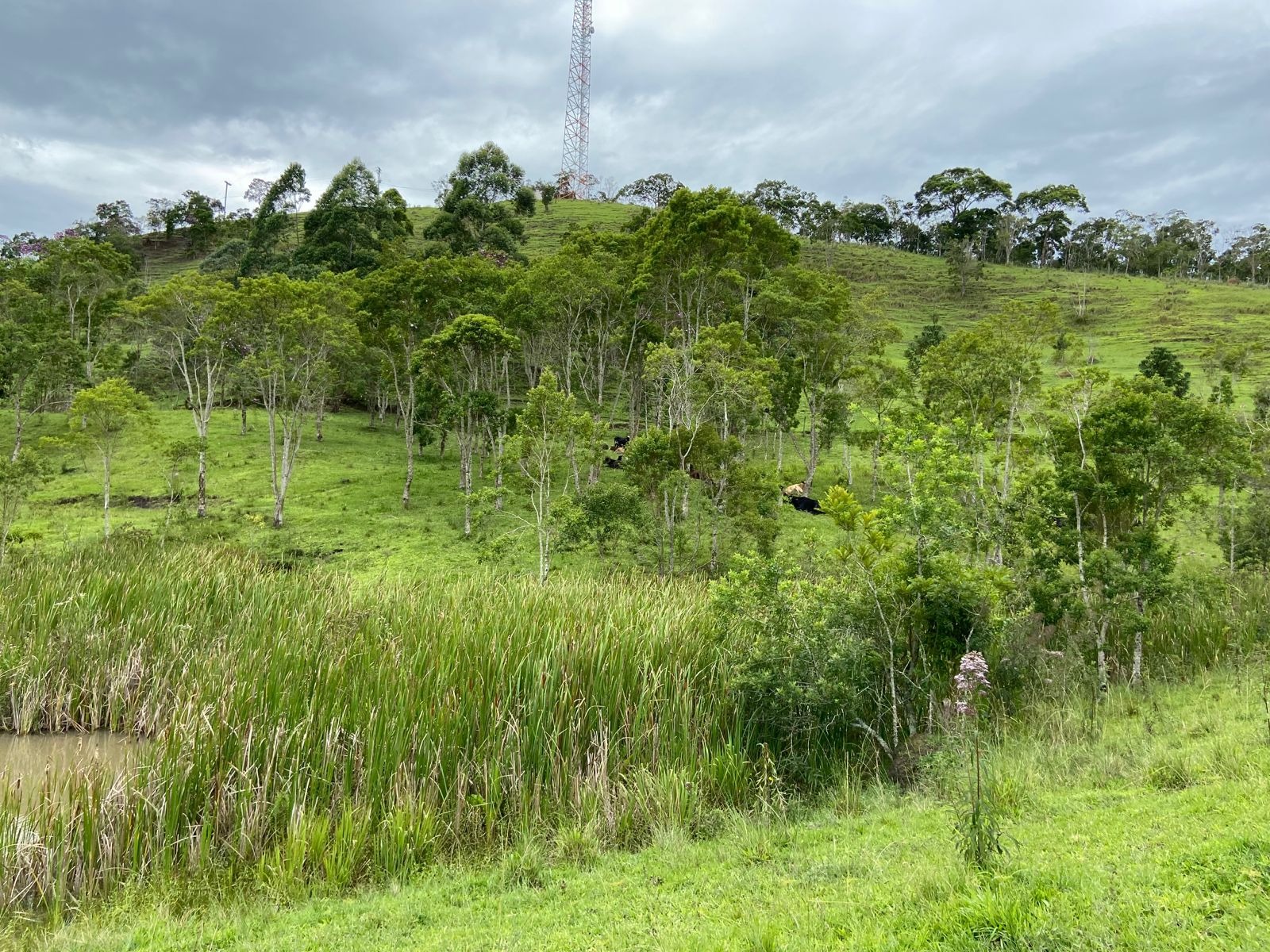 Sítio de 39 ha em São Luiz do Paraitinga, SP