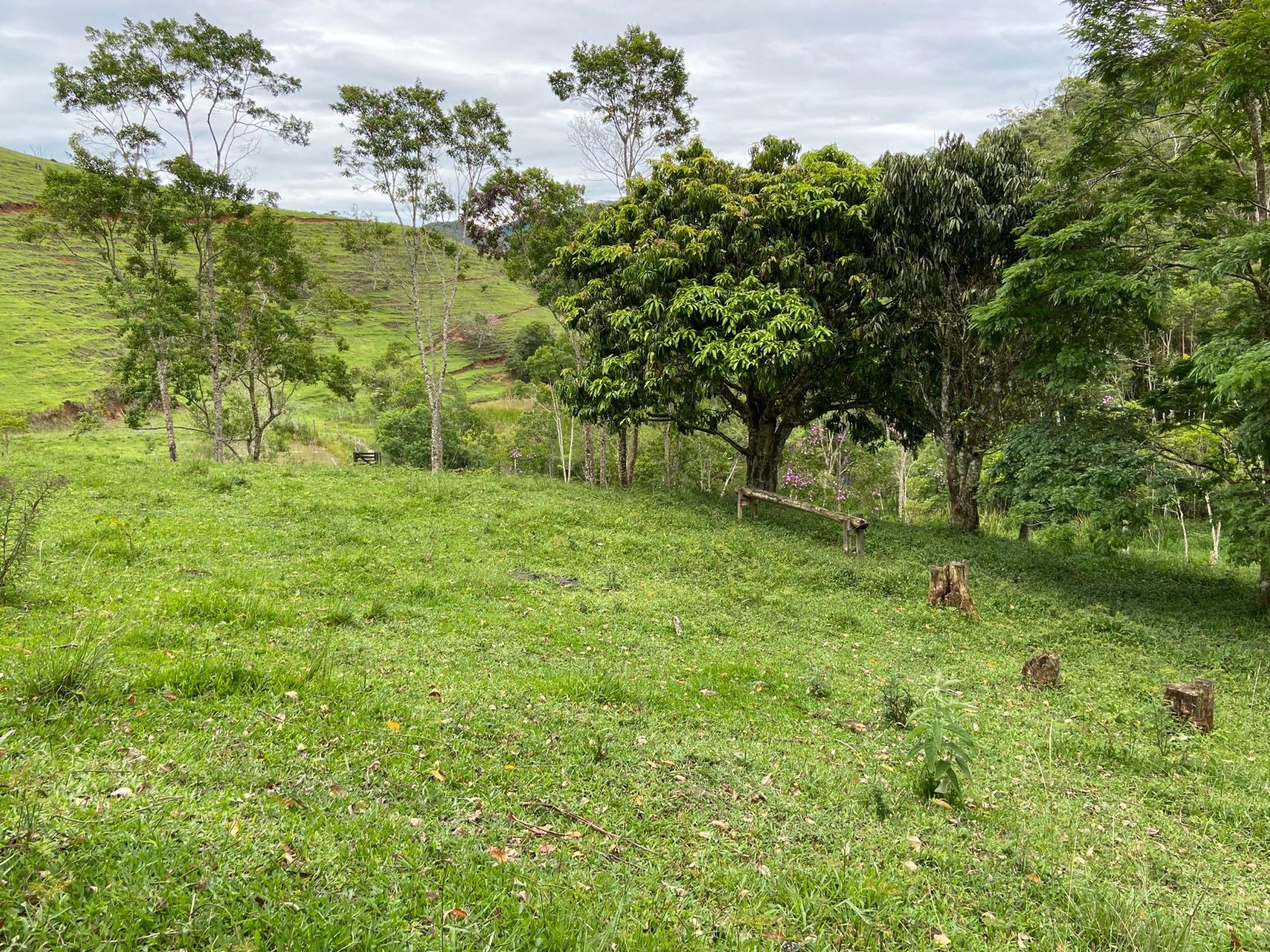 Sítio de 39 ha em São Luiz do Paraitinga, SP