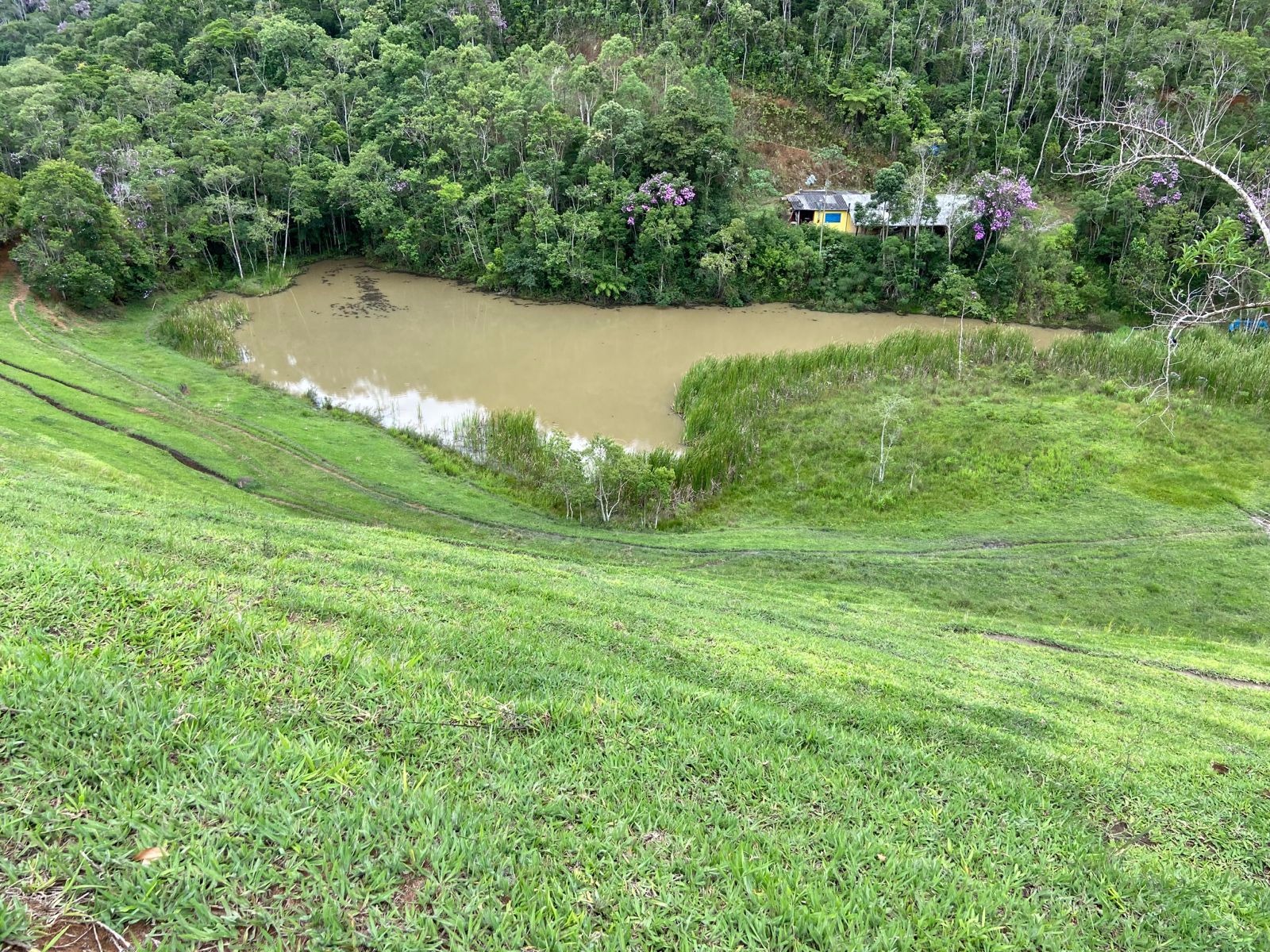 Sítio de 39 ha em São Luiz do Paraitinga, SP