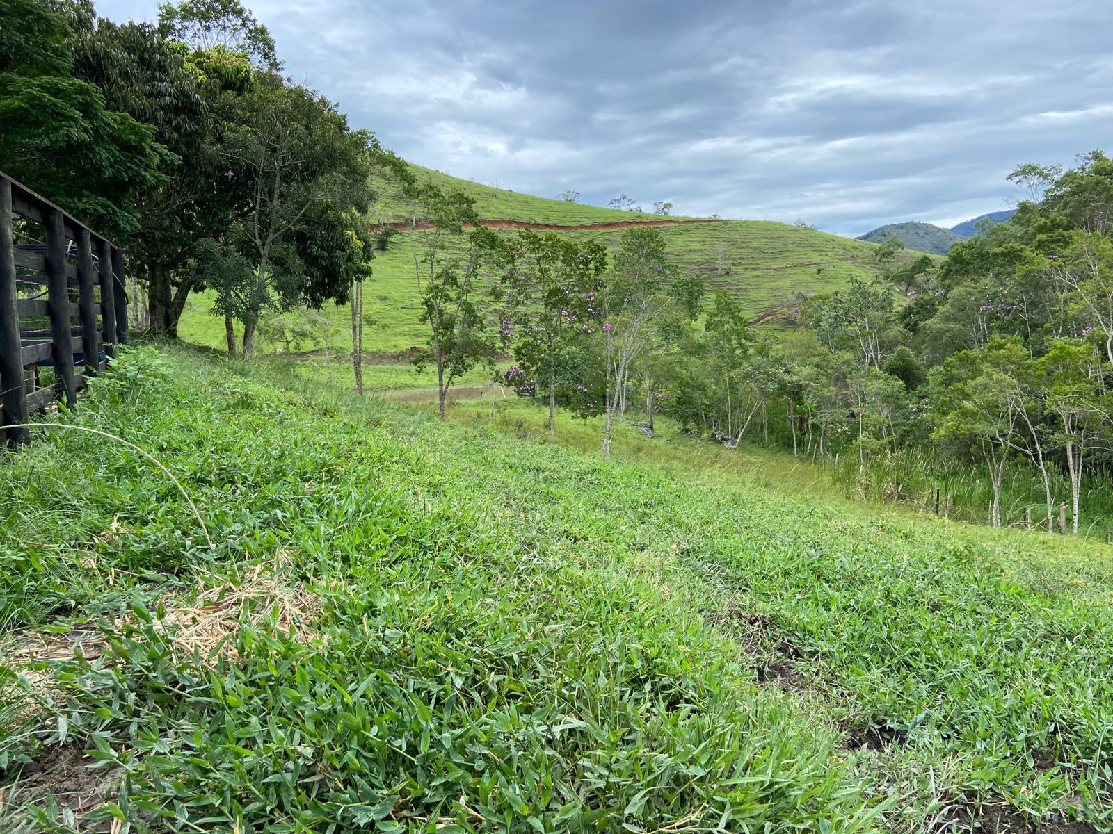 Sítio de 39 ha em São Luiz do Paraitinga, SP