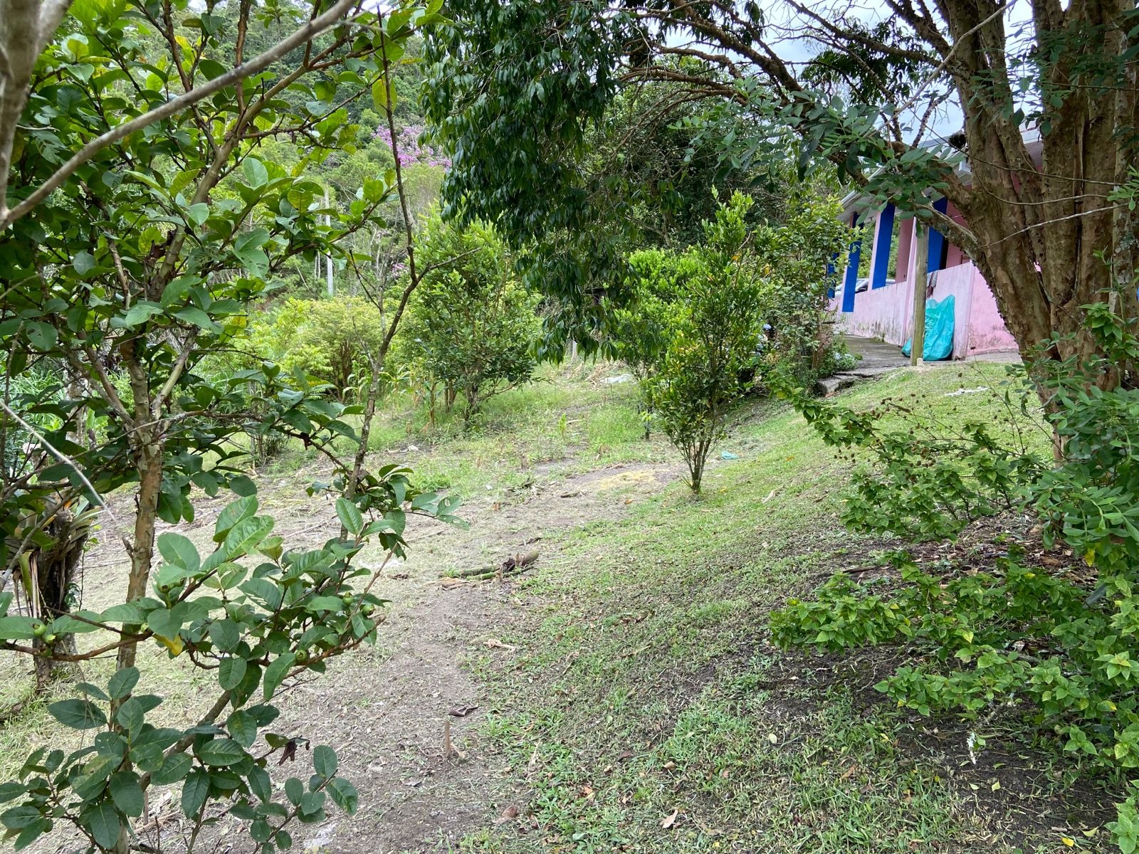 Sítio de 39 ha em São Luiz do Paraitinga, SP