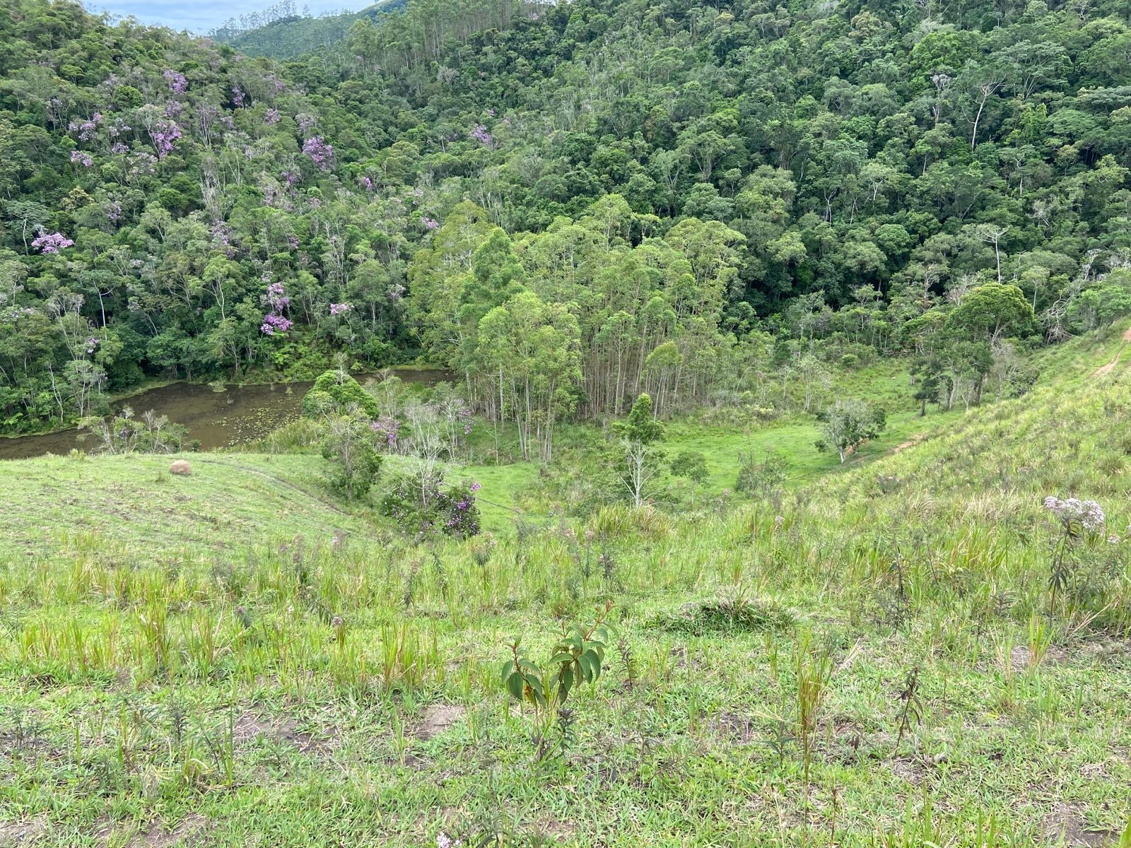 Sítio de 39 ha em São Luiz do Paraitinga, SP