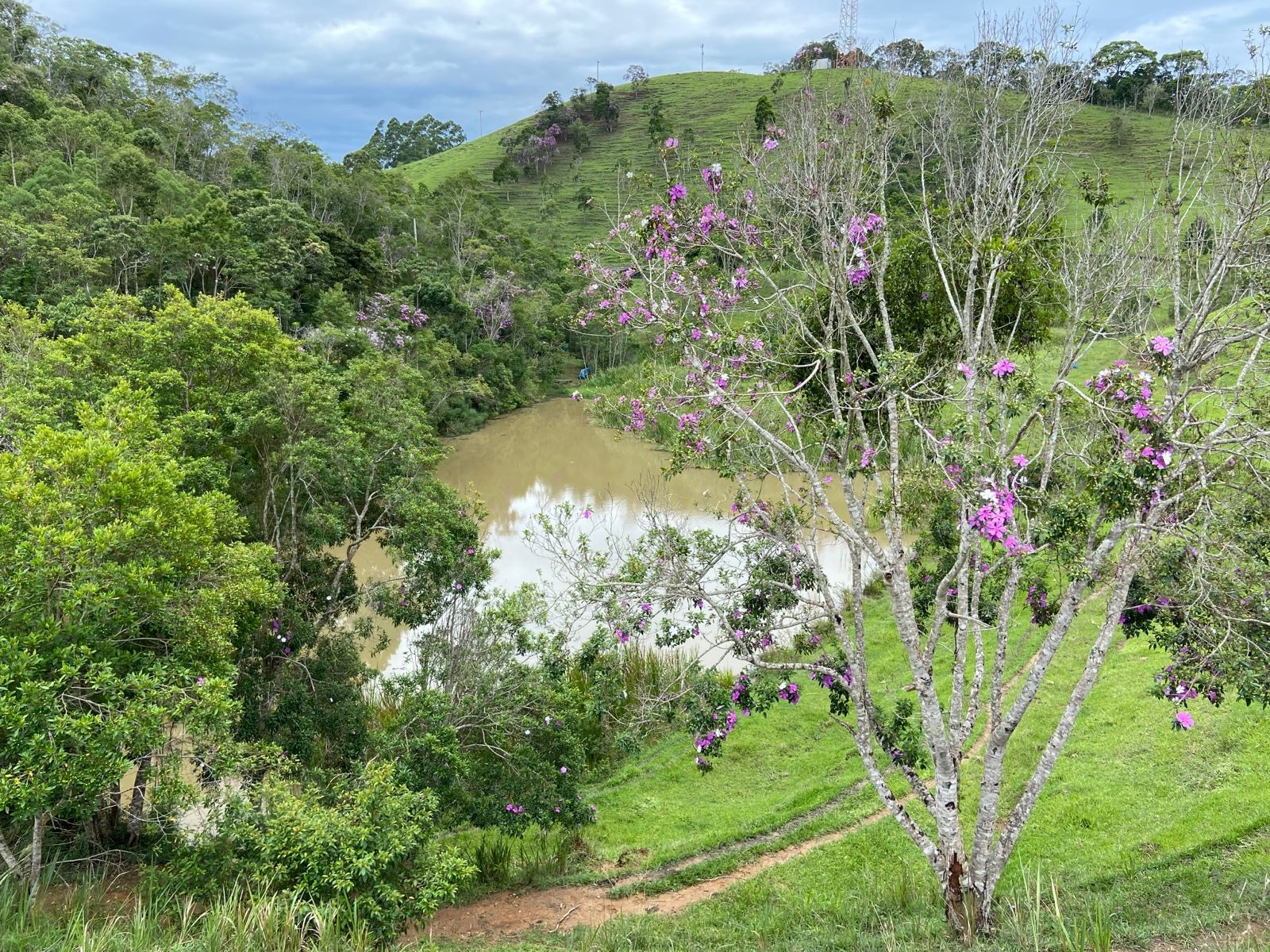 Sítio de 39 ha em São Luiz do Paraitinga, SP