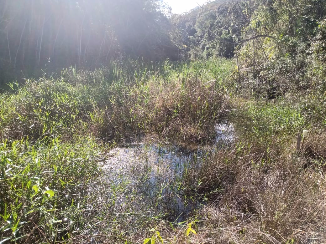 Sítio de 17 ha em São José dos Campos, SP