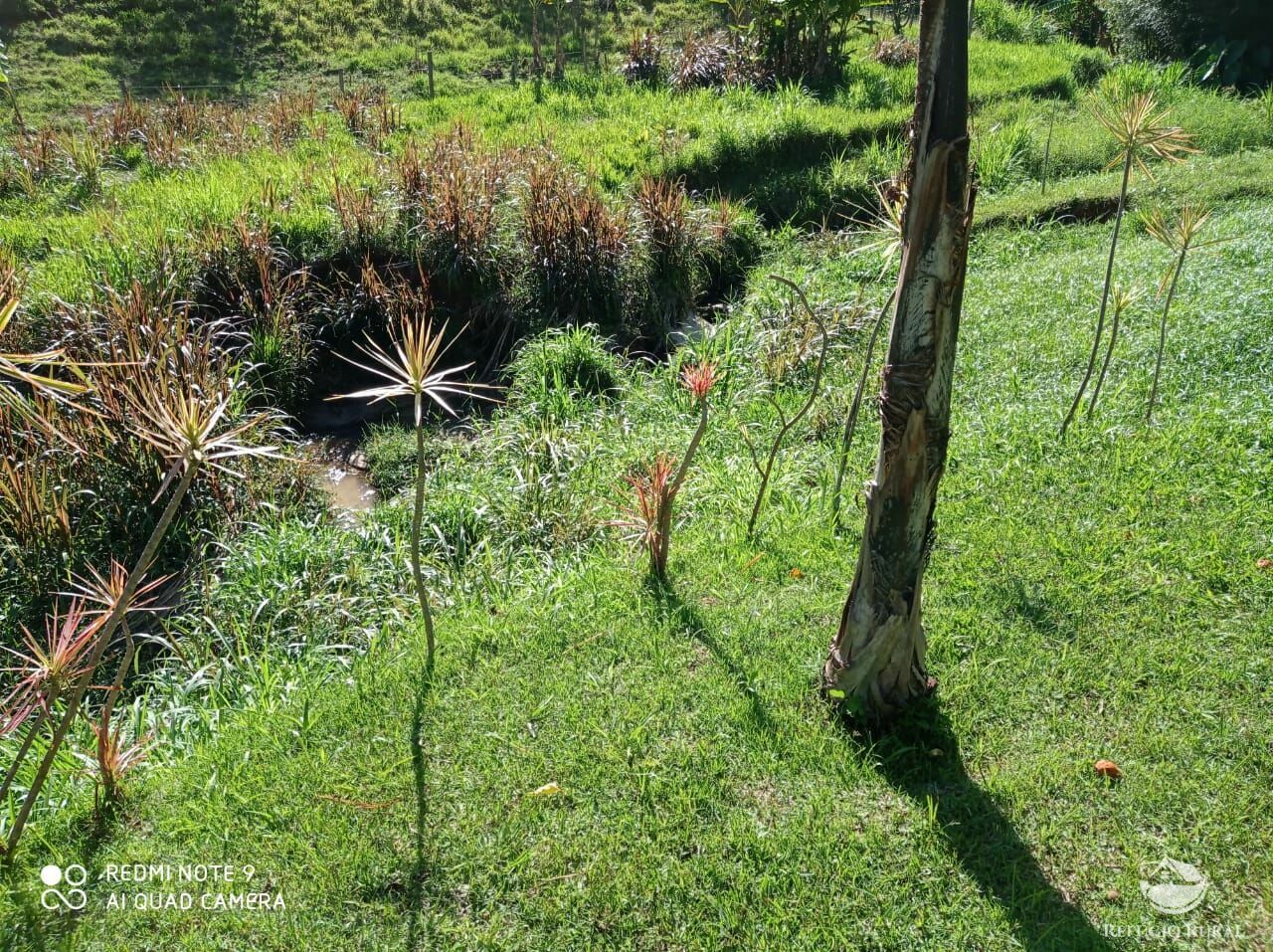 Sítio de 14 ha em Monteiro Lobato, SP