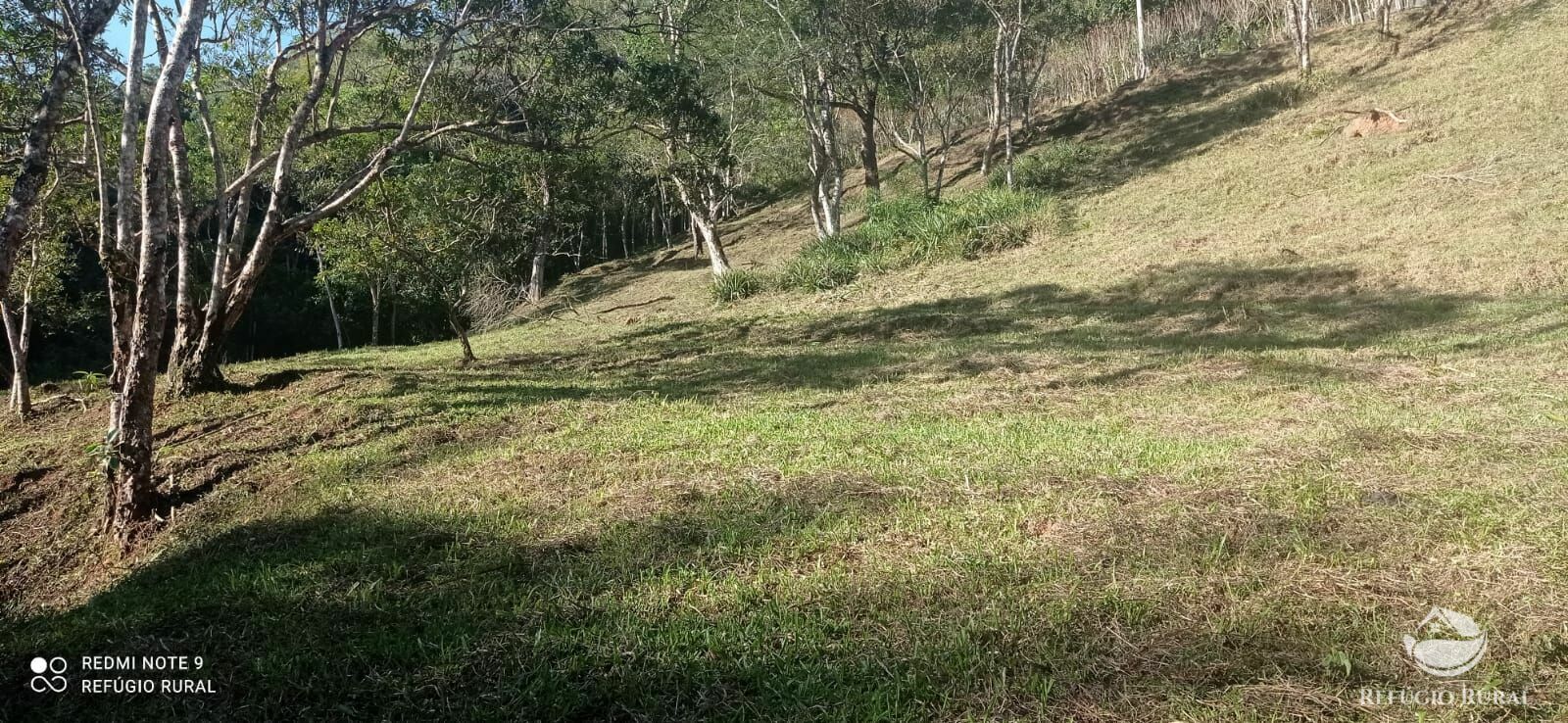 Sítio de 14 ha em Monteiro Lobato, SP