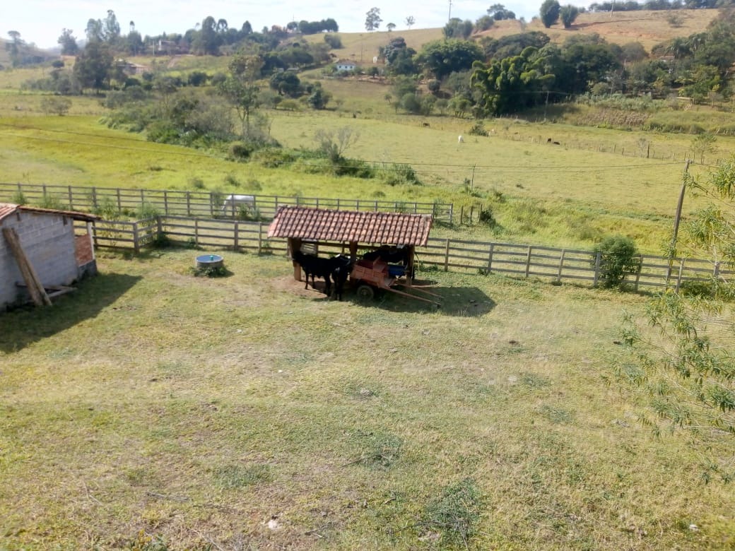 Fazenda de 53 ha em Cambuí, MG