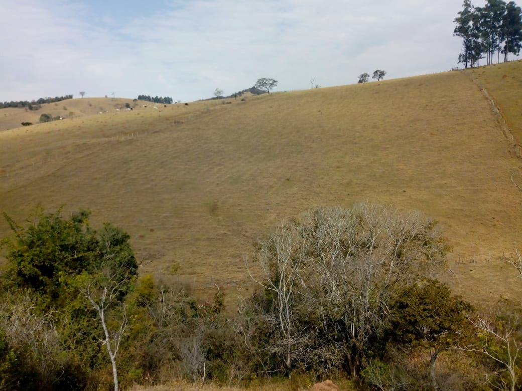 Fazenda de 53 ha em Cambuí, MG