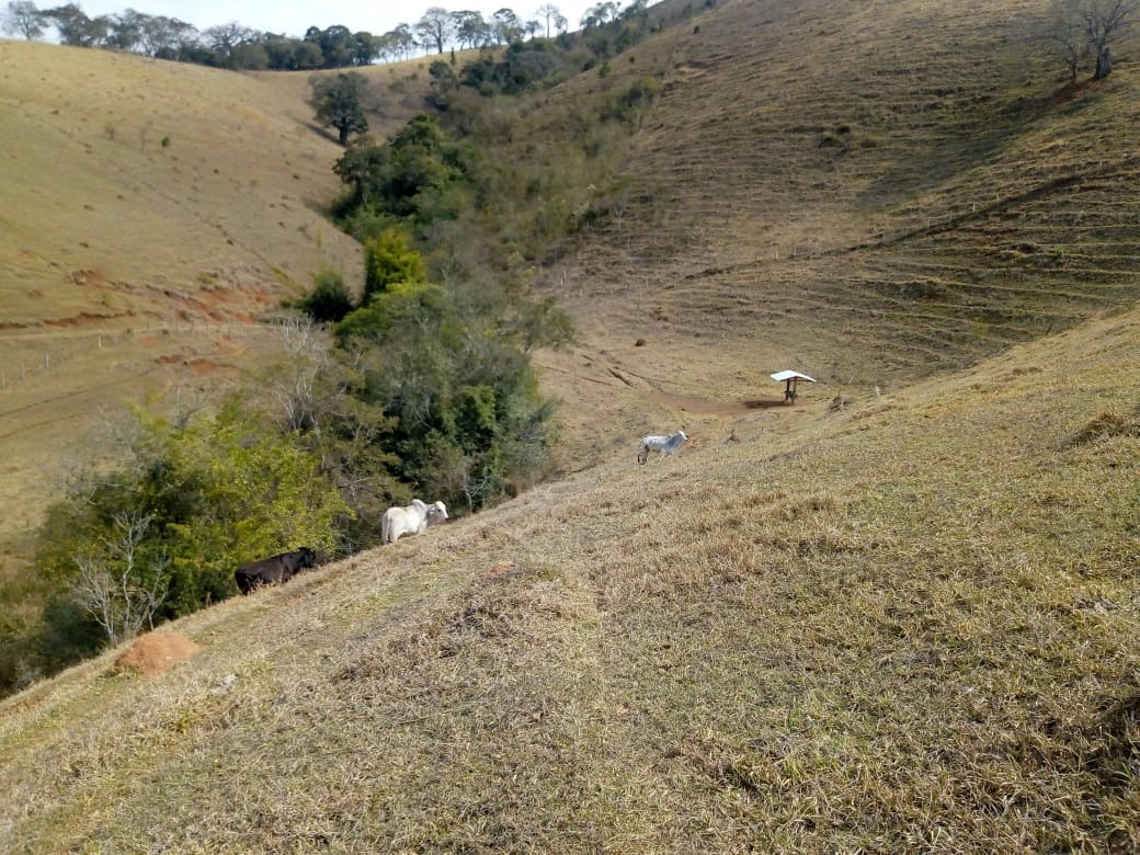 Fazenda de 53 ha em Cambuí, MG