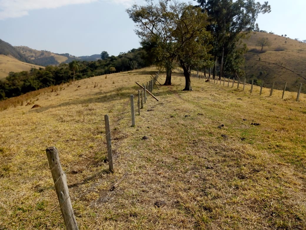 Fazenda de 53 ha em Cambuí, MG