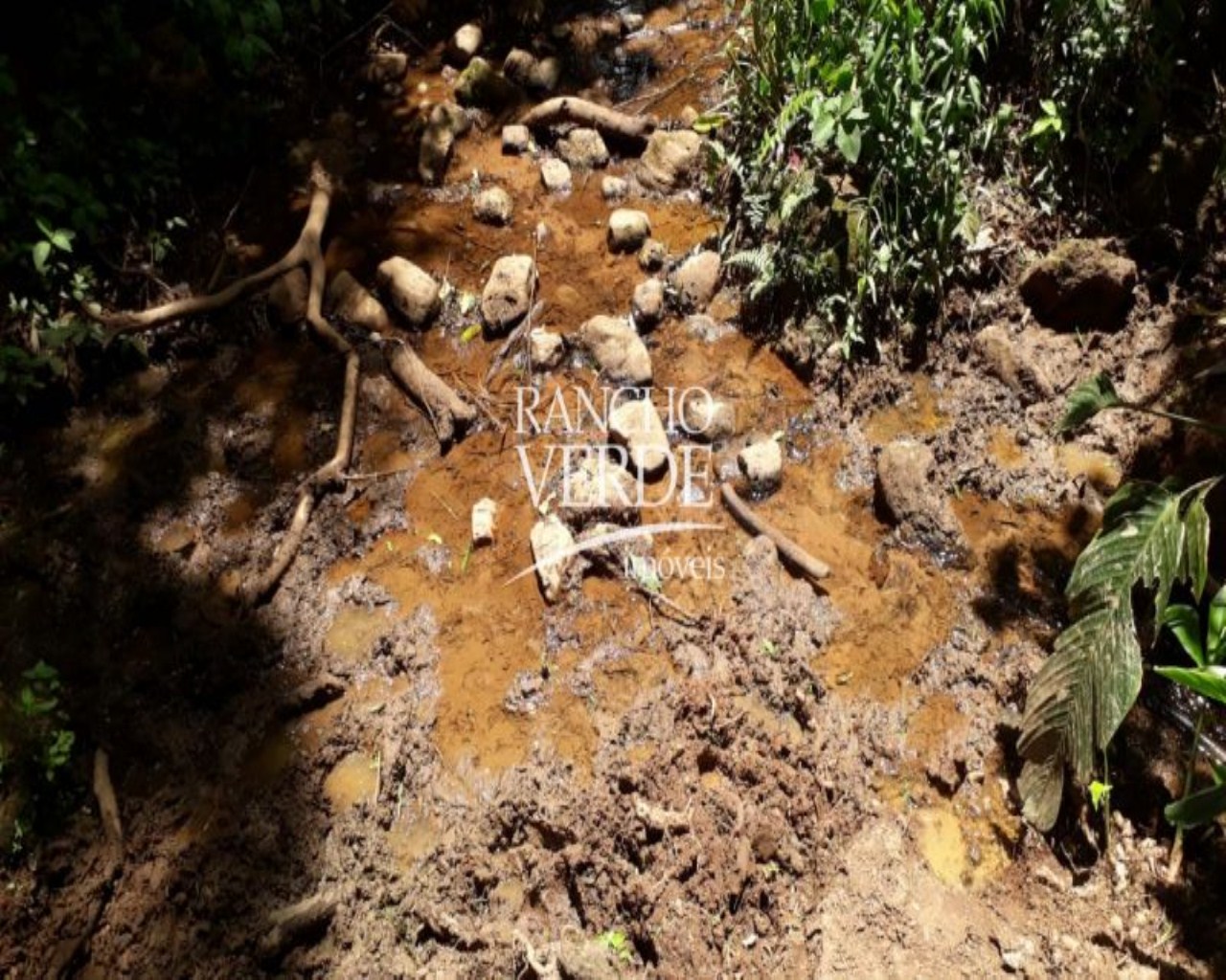 Fazenda de 169 ha em São Lourenço, MG