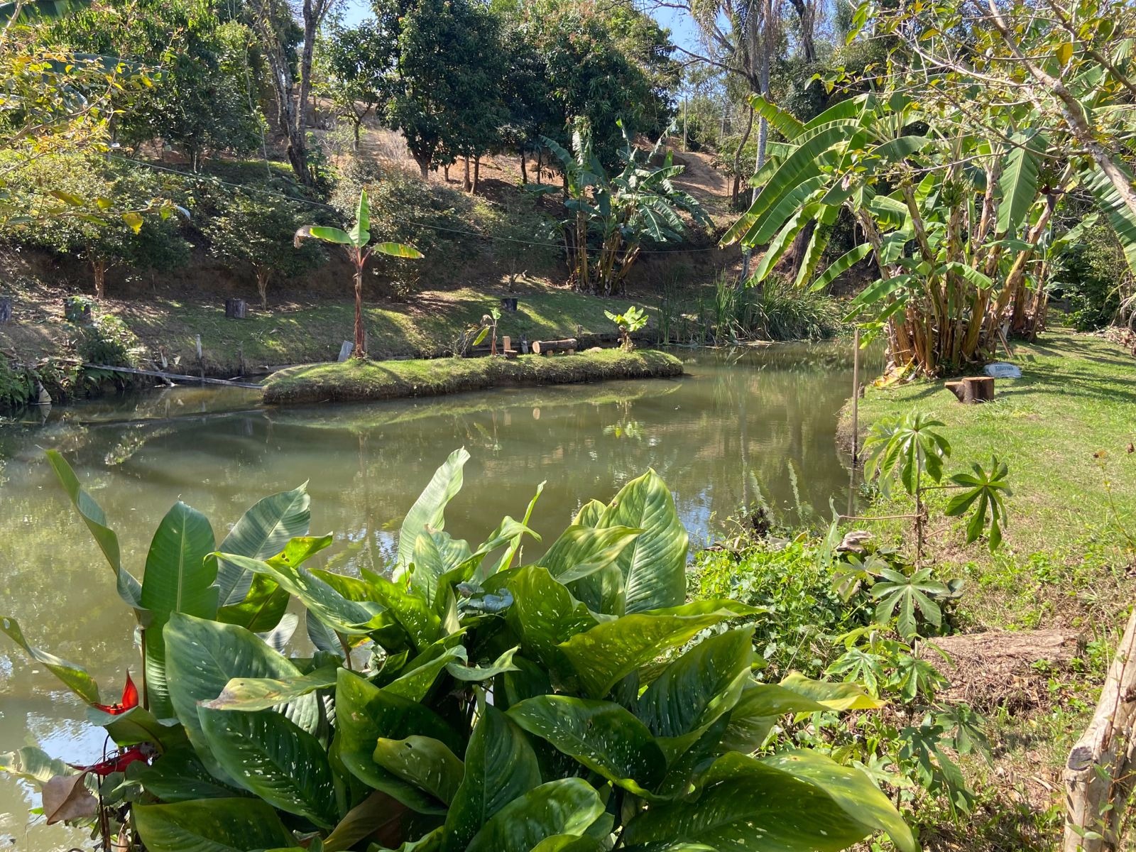 Chácara de 5.500 m² em Caçapava, SP