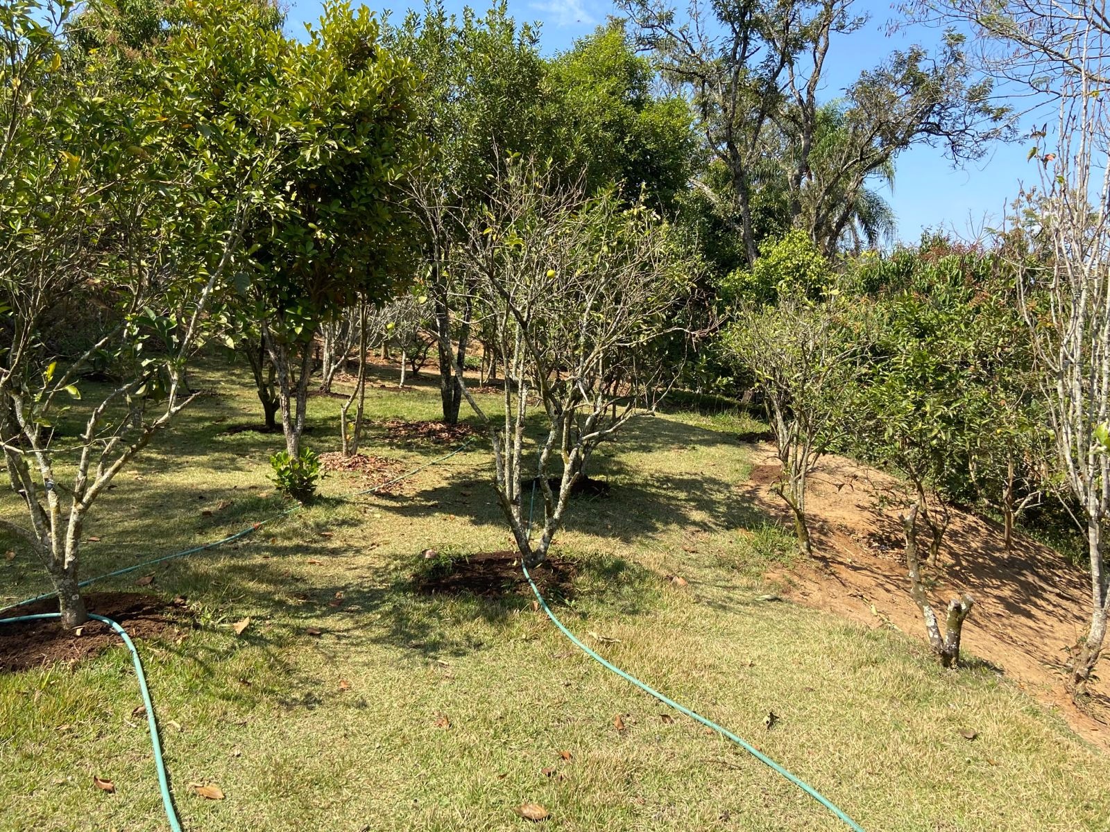 Chácara de 5.500 m² em Caçapava, SP