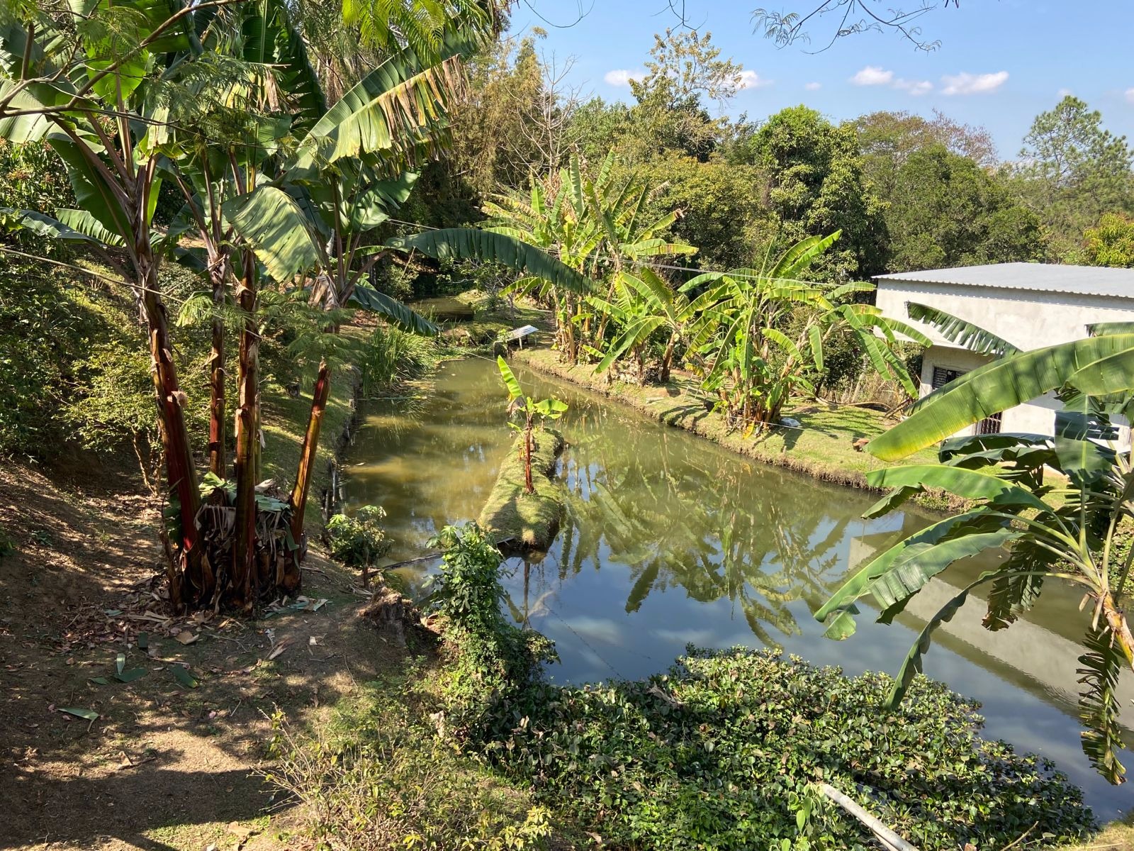 Chácara de 5.500 m² em Caçapava, SP