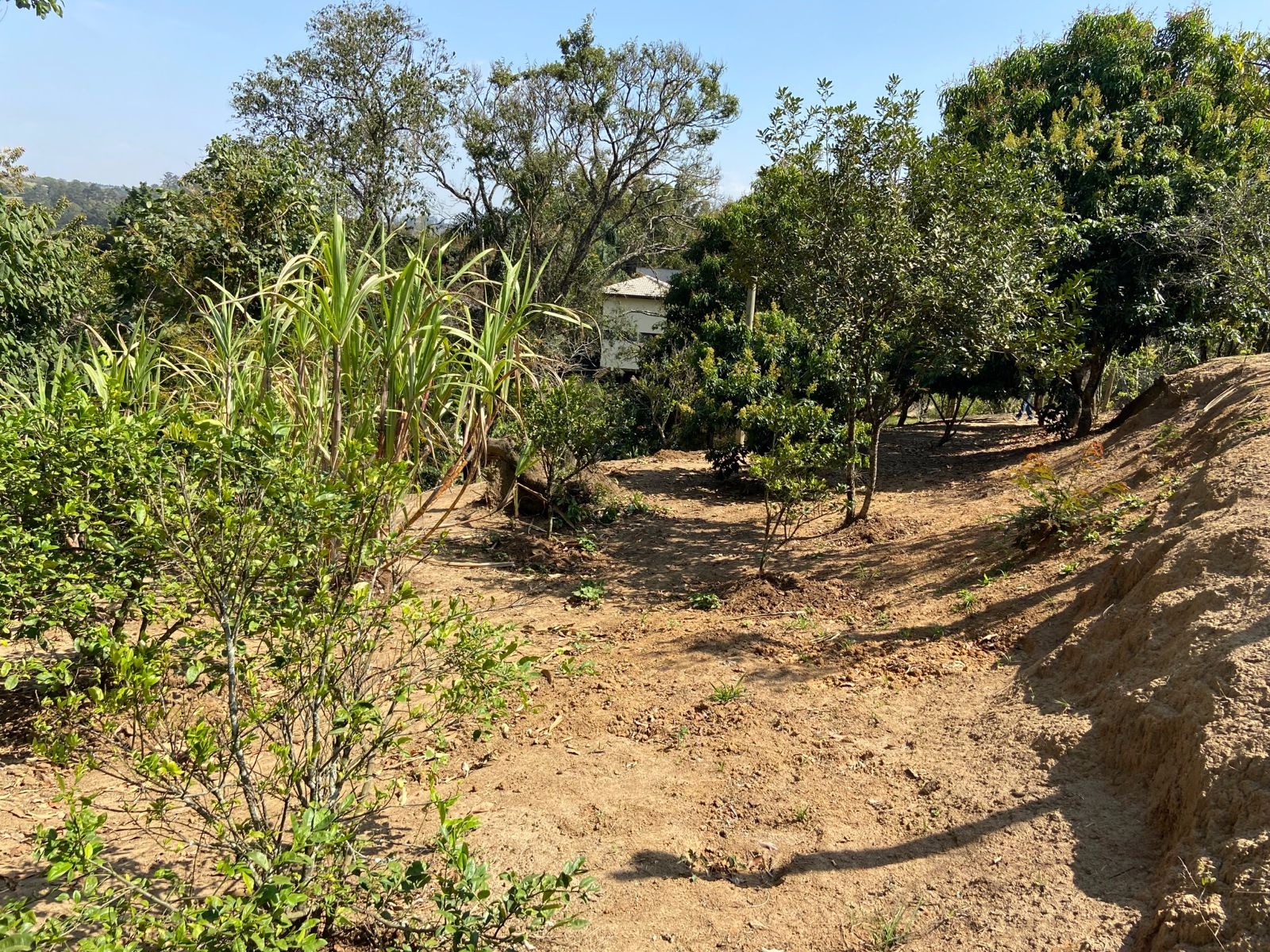 Chácara de 5.500 m² em Caçapava, SP