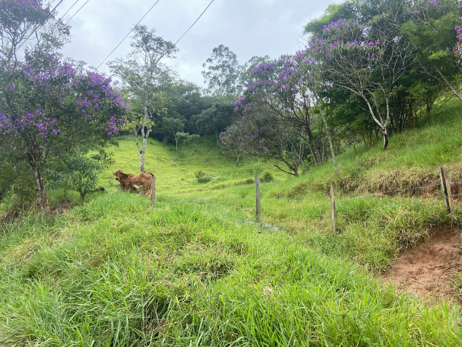 Terreno de 2 ha em São José dos Campos, SP