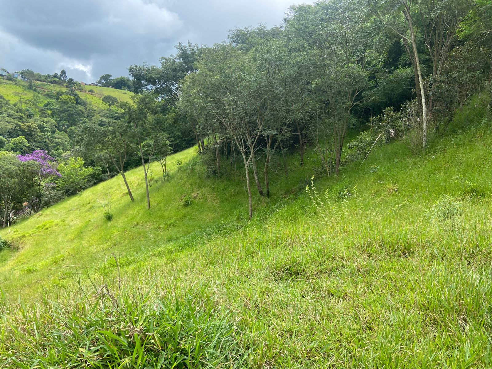 Terreno de 2 ha em São José dos Campos, SP