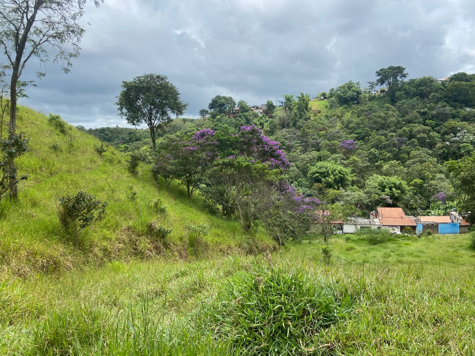 Terreno de 2 ha em São José dos Campos, SP