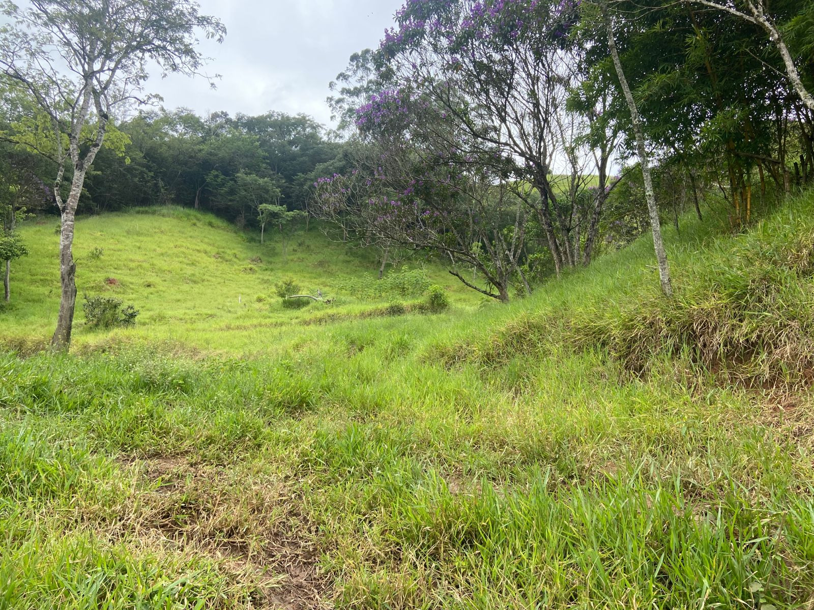 Terreno de 2 ha em São José dos Campos, SP