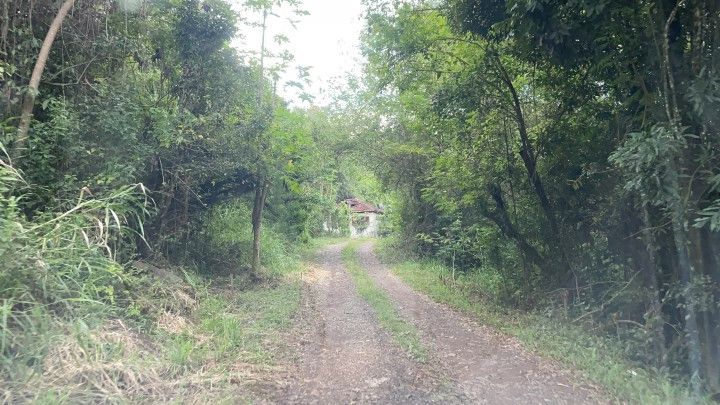 Chácara de 1 ha em Rolante, RS