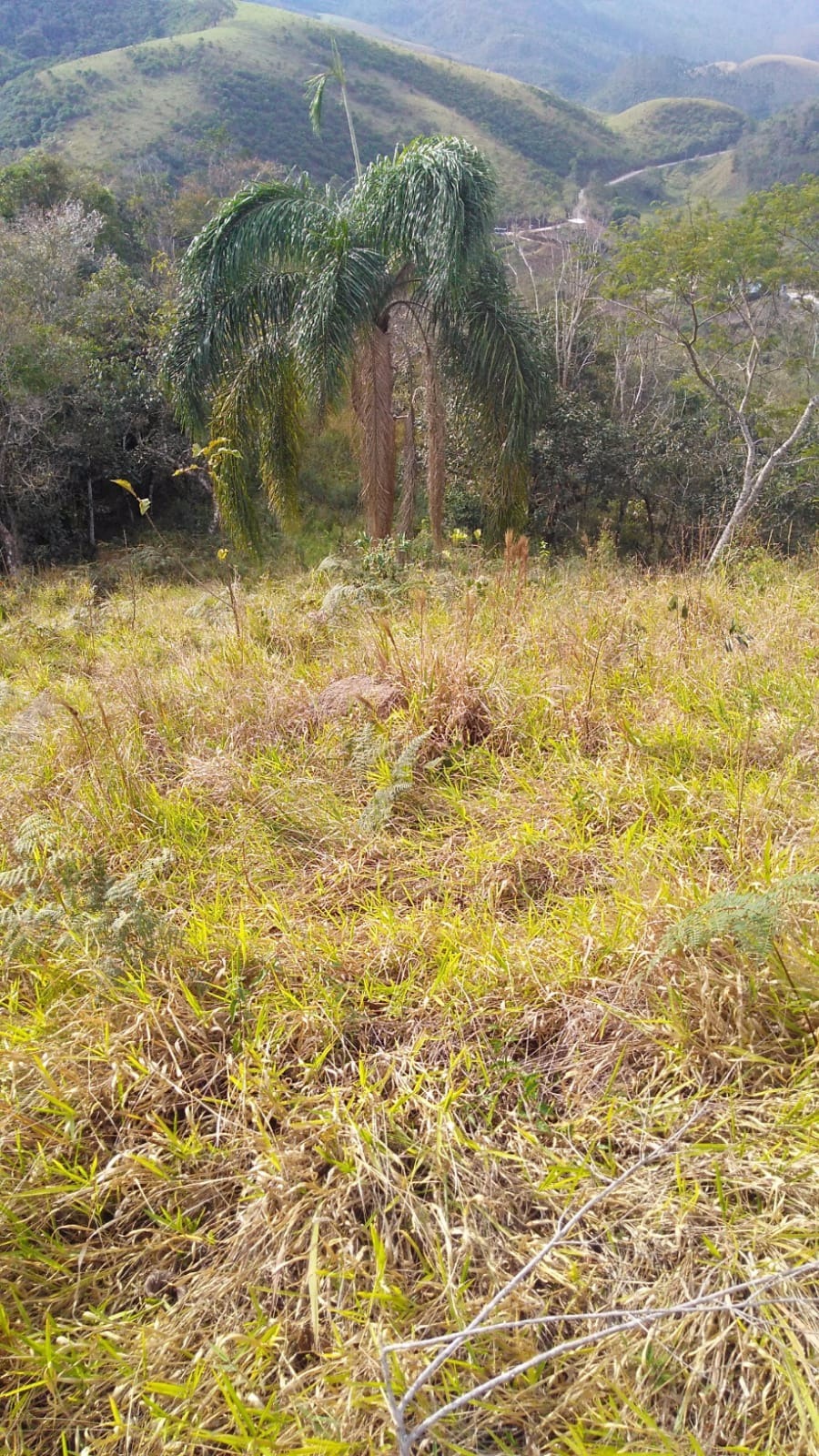 Terreno de 2 ha em São José dos Campos, SP