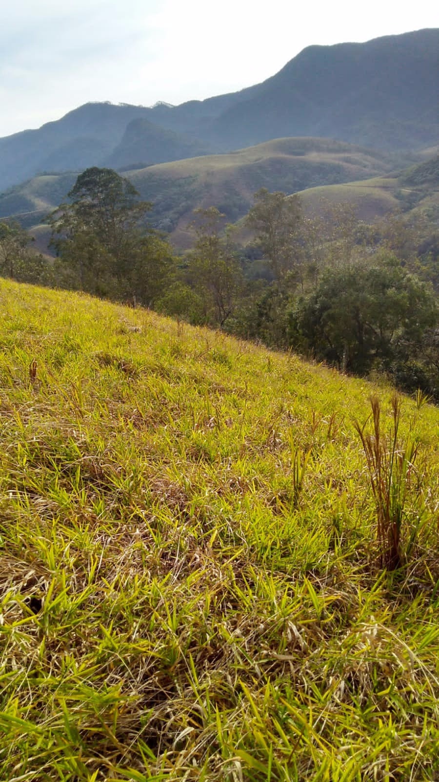 Terreno de 2 ha em São José dos Campos, SP