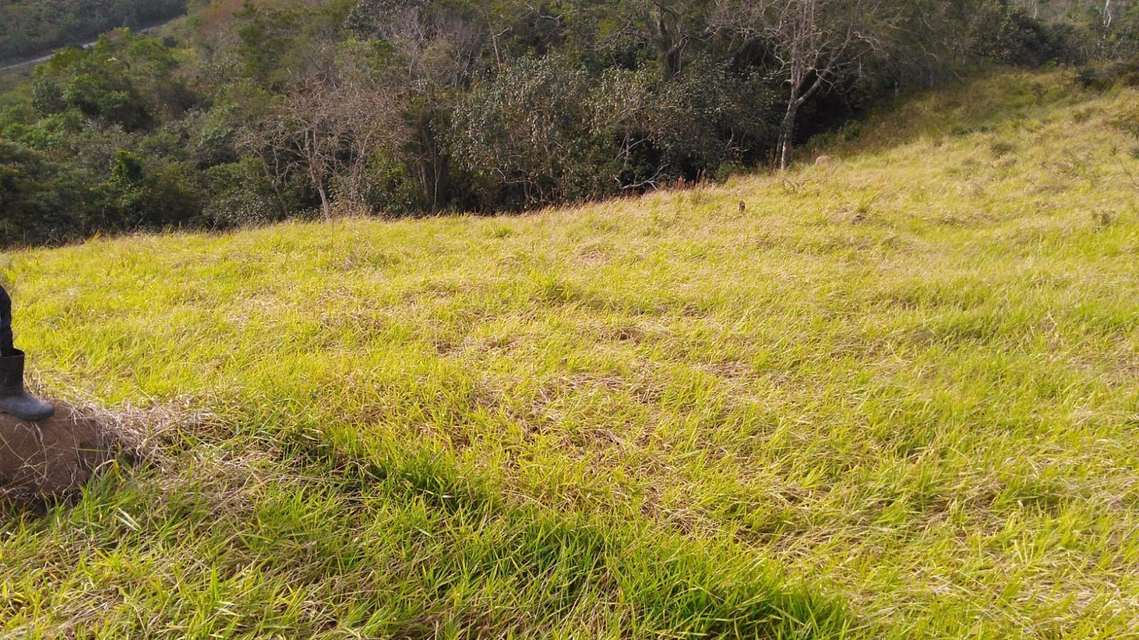 Terreno de 2 ha em São José dos Campos, SP