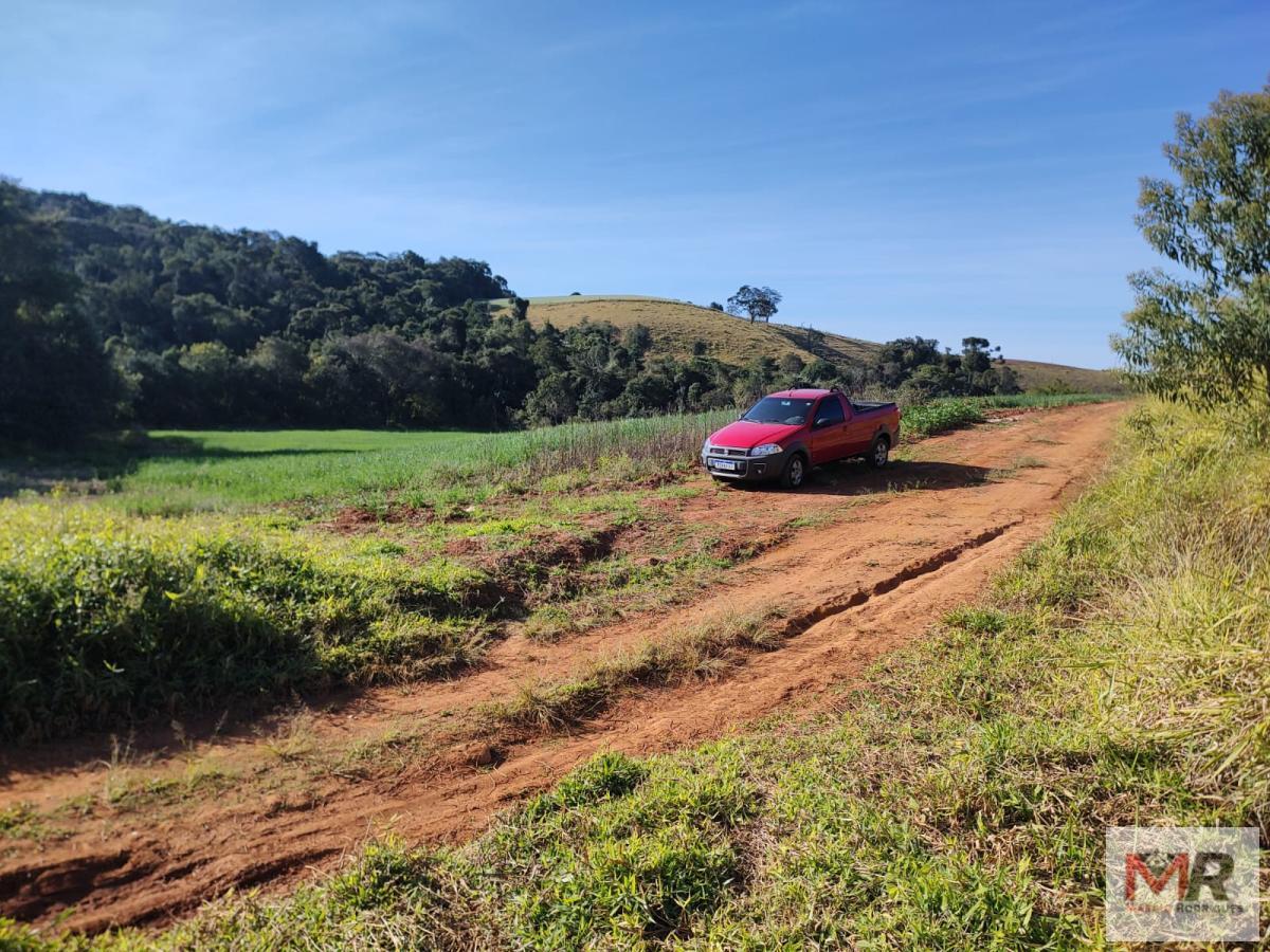 Terreno de 24 ha em Silvianópolis, MG