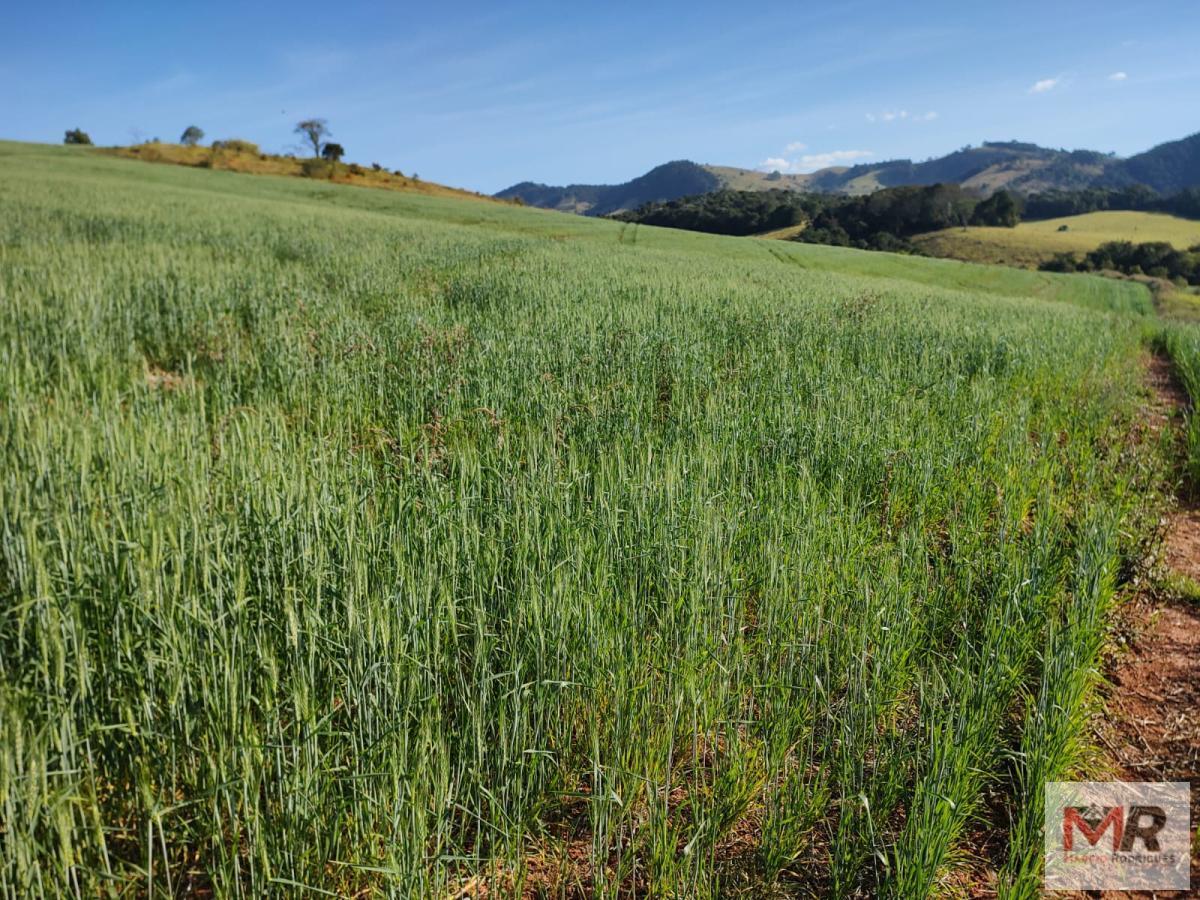 Terreno de 24 ha em Silvianópolis, MG