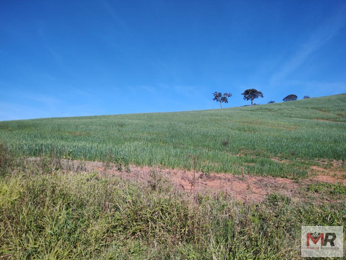 Terreno de 24 ha em Silvianópolis, MG