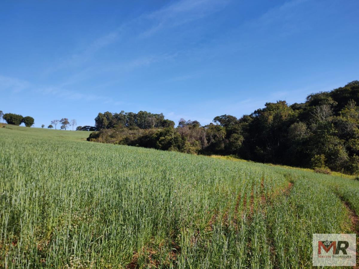 Terreno de 24 ha em Silvianópolis, MG