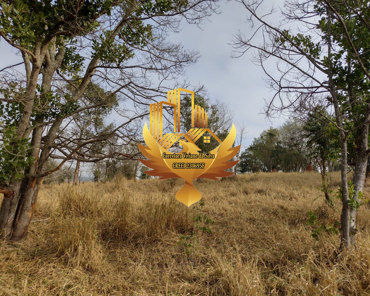 Terreno de 2 ha em Taubaté, SP