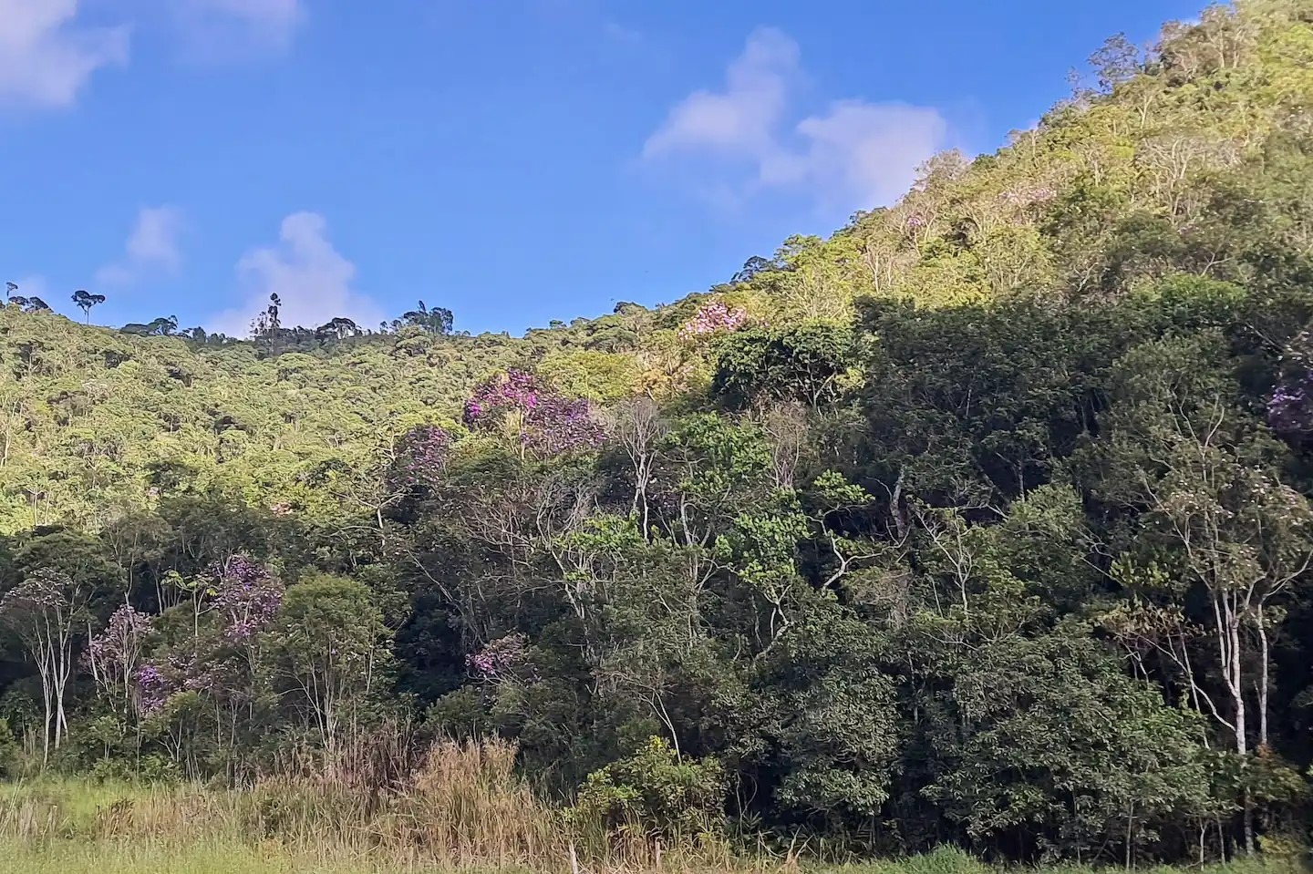 Chácara de 3 ha em Paraibuna, SP