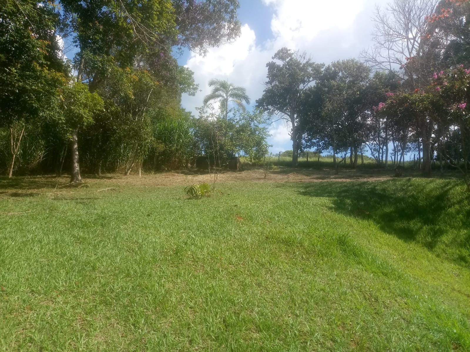 Sítio de 8 ha em São José dos Campos, SP